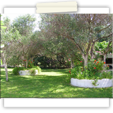 polymnia apartments garden